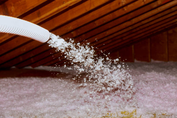 Types of Insulation We Offer in Spencer, WV