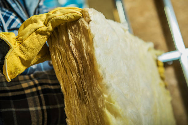 Best Specialized Insulation Services in Spencer, WV